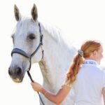 Otto Schumacher Fineline Swarovski Headcollar Boutique Equines